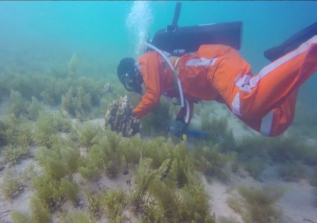 yp街机(中国)电子游戏官网