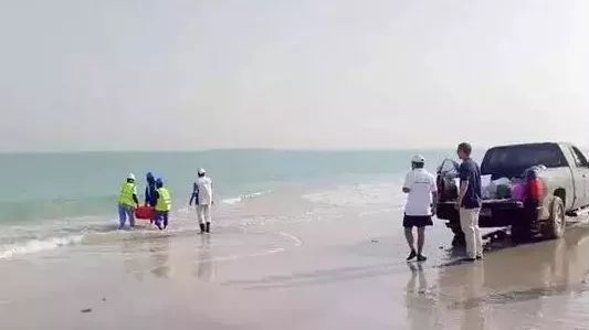 yp街机(中国)电子游戏官网