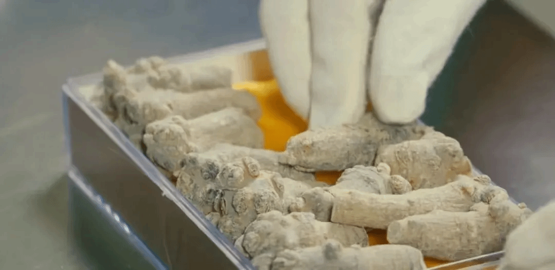 yp街机(中国)电子游戏官网