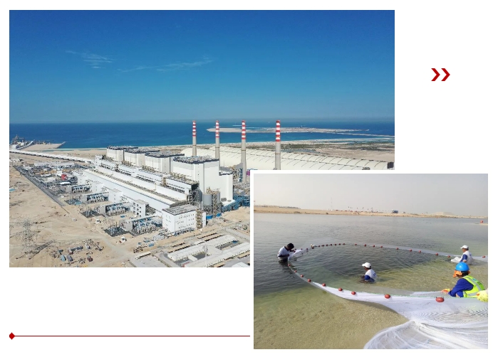 yp街机(中国)电子游戏官网