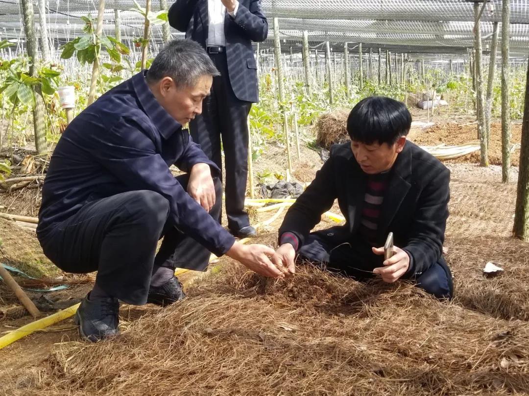 yp街机(中国)电子游戏官网