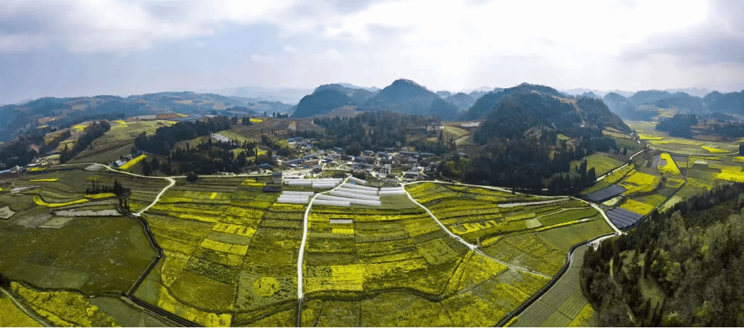 yp街机(中国)电子游戏官网