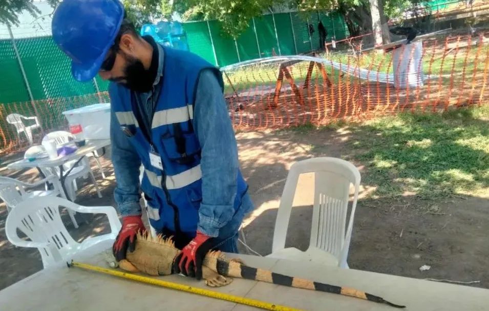 yp街机(中国)电子游戏官网