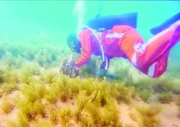 yp街机(中国)电子游戏官网