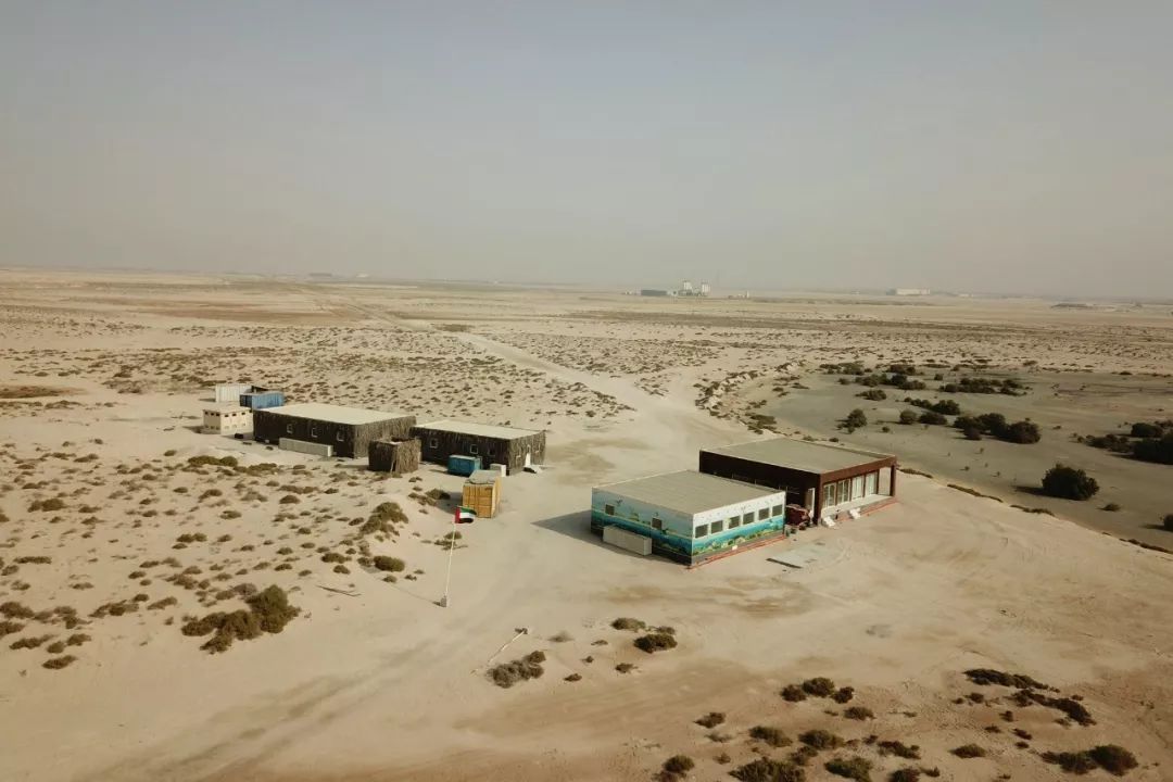 yp街机(中国)电子游戏官网