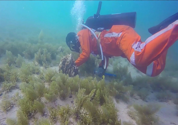 yp街机(中国)电子游戏官网