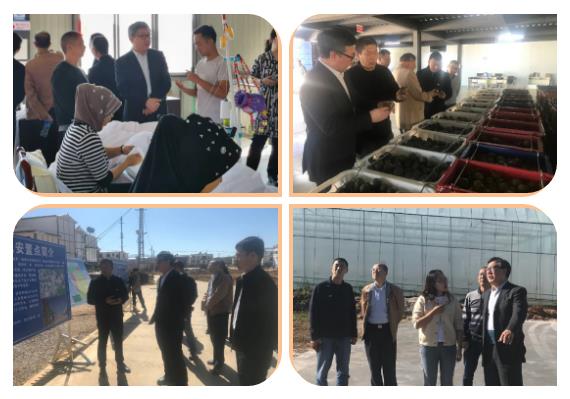 yp街机(中国)电子游戏官网