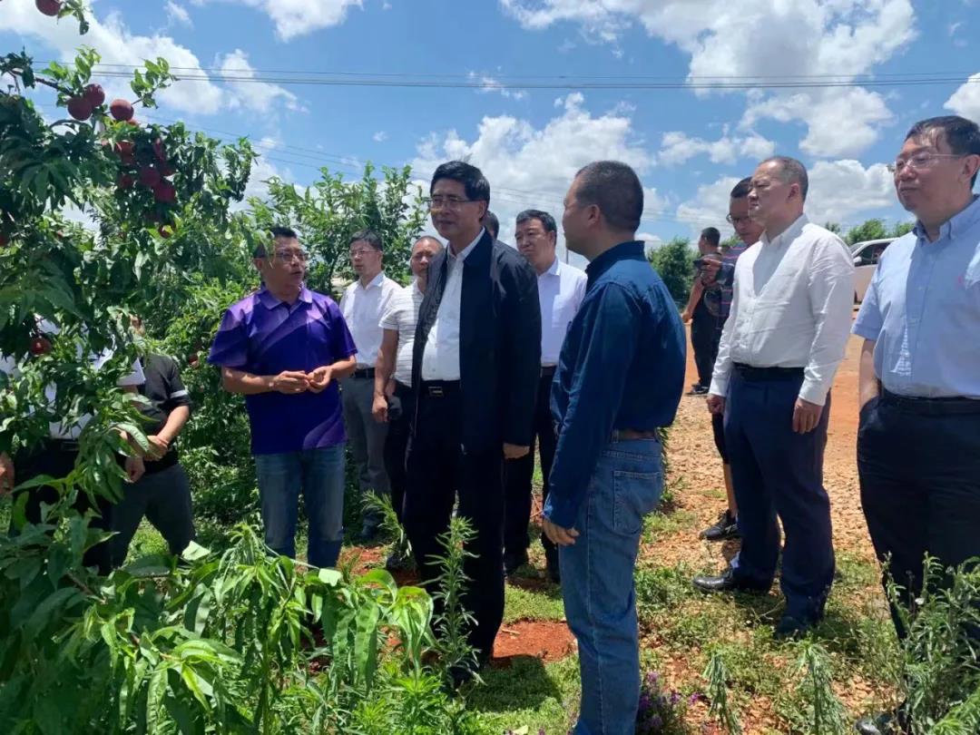 yp街机(中国)电子游戏官网