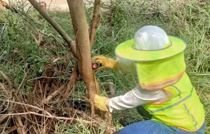 yp街机(中国)电子游戏官网