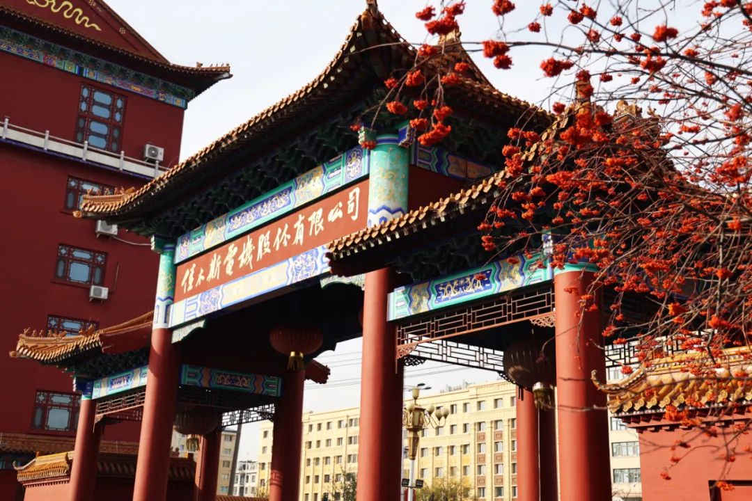 yp街机(中国)电子游戏官网