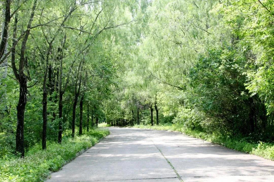 yp街机(中国)电子游戏官网