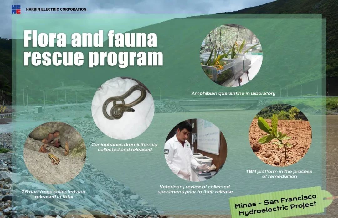 yp街机(中国)电子游戏官网