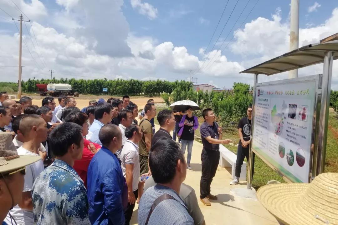 yp街机(中国)电子游戏官网