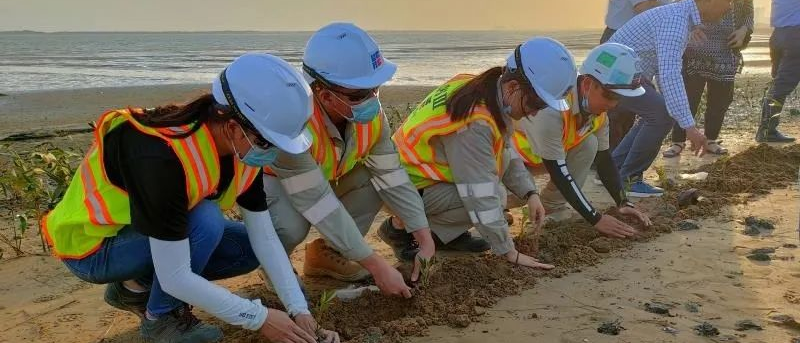 yp街机(中国)电子游戏官网