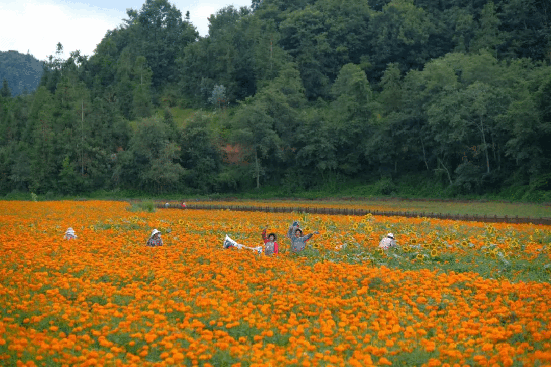 yp街机(中国)电子游戏官网