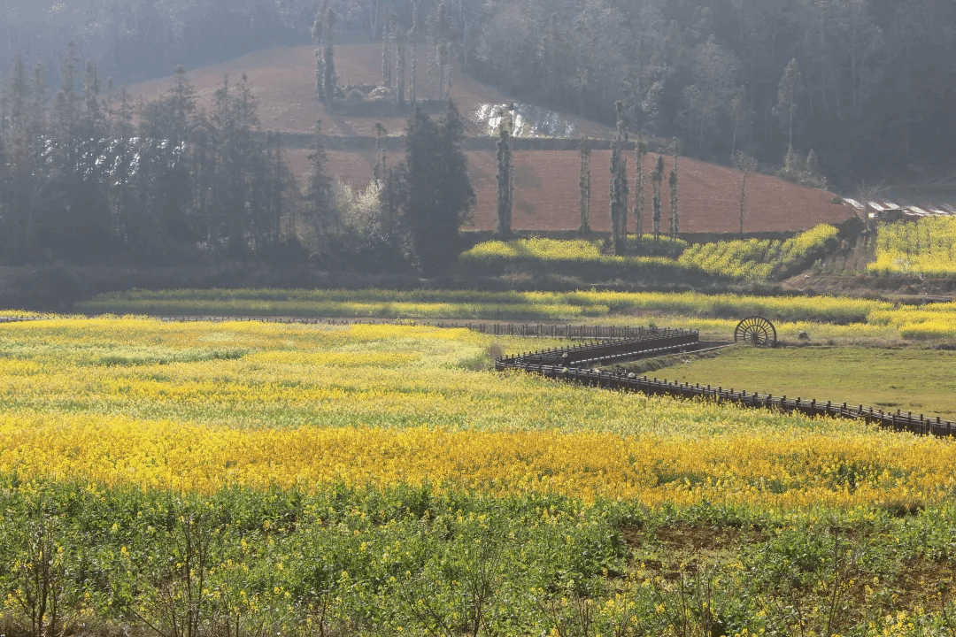 yp街机(中国)电子游戏官网